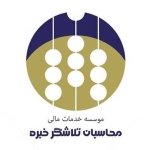 محاسبان تلاشگر خبره